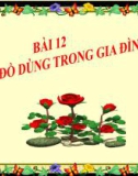 Slide bài Đồ dùng trong gia đình - Tự Nhiên Xã Hội 2 - GV.B.N.Kha