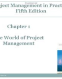 Lecture Project management in practice (Fifth Edition) – Chapter 1: The world of project management