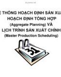 HỆ THỐNG HOẠCH ĐỊNH SẢN XUẤT: HOẠCH ĐỊNH TỔNG HỢP