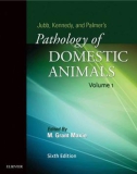 Ebook Jubb, Kennedy & Palmer's pathology of domestic animals (Vol 1 - 6/E): Part 1