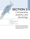 Ebook Introduction to veterinary anatomy and physiology textbook (3/E): Part 2