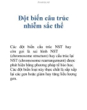 Đột biến câu trúc nhiễm sắc thể