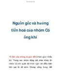 Nguồn gốc và hướng tiến hoá của nhóm Có ống khí