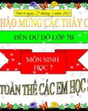 Bài giảng điện tử môn sinh học: cây phát sinh giới động vật