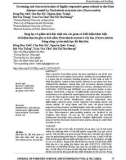 Screening and characterization of highly responsive genes related to the blast disease caused by Pyricularia oryzae in rice (Oryza sativa)