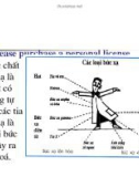 Bài giảng Điện nguyên tử - Chương 3: Tia phóng xạ