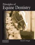 Ebook Principles of equine dentistry: Part 1