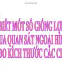 Bài giảng Công nghệ 7 bài 36: Nhận biết một số giống lợn qua quan sát ngoại hình và đo kích thước các chiều