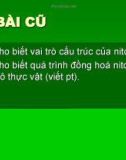 Bài 6: Dinh dưỡng Nitơ ở thực vật