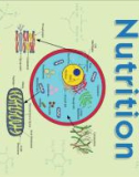 Ebook Principles of animal nutrition: Part 1