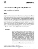 Ebook Protocols for the diagnosis of pig viral diseases: Part 2