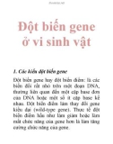 Đột biến gene ở vi sinh vật