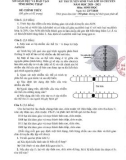 Đề thi tuyển sinh vào lớp 10 chuyên môn Sinh học năm 2020-2021 có đáp án - Sở GD&ĐT Đồng Tháp