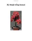 Kỹ thuật trồng bonsai