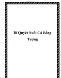 Bí Quyết Nuôi Cá Bống Tượng