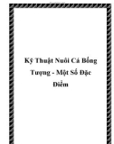 Kỹ Thuật Nuôi Cá Bống Tượng - Một Số Đặc Điểm