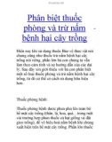 Phân biệt thuốc phòng và trừ nấm bệnh hại cây trồng