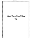 Cách Chọn Tôm Giống Tốt