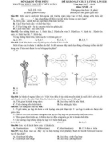 Đề thi KSCL lần 4 môn Sinh học lớp 10 năm 2018 - THPT Nguyễn Viết Xuân - Mã đề 106