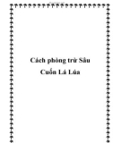 Cách phòng trừ Sâu Cuốn Lá Lúa