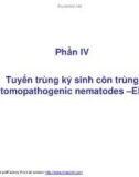 Bài giảng dịch bệnh côn trùng - Tuyến trùng ký sinh côn trùng