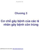 Bài giảng dịch bệnh côn trùng - Cơ chế gây bệnh của các tác nhân gây bệnh côn trùng