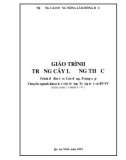 Giáo trình Trồng cây lương thực - CĐ Nông Lâm Đông Bắc