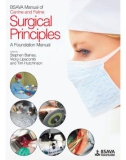 Ebook BSAVA manual of canine and feline surgical principles - A foundation manual: Part 1