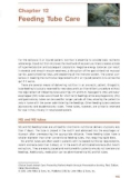 Ebook Clinical small animal care - Promoting patient health through preventative nursing: Part 2