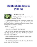 Bệnh khảm hoa lá (VIUS)