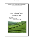 Giáo trình Chăm sóc chè - MĐ03: Trồng chè