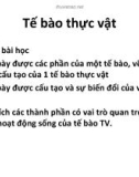 Tế bào thực vật