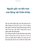 Nguồn gốc và tiến hoá của động vật Chân khớp