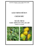 Giáo trình Chăm sóc - MĐ03: Trồng dưa hấu, dưa bở