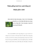 Nhân giống bưởi da xanh bằng kỹ thuật giâm cành