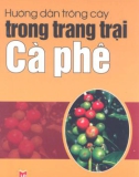 Hướng dẫn trồng cây trong trang trại cà phê