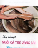 Cá trê vàng lai và kỹ thuật nuôi