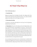 Kỹ Thuật Trồng Măng Cụt