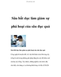 Sâu bất dục làm giảm sự phá hoại của sâu đục quả