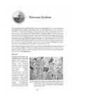 Ebook A textbook of veterinary systemic pathology: Part 2