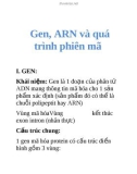 Gen, ARN và quá trình phiên mã