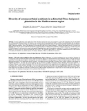 Báo cáo lâm nghiệp: Diversity of ectomycorrhizal symbionts in a disturbed Pinus halepensis plantation in the Mediterranean region