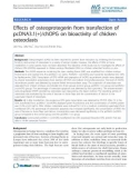 Báo cáo khoa học: Effects of osteoprotegerin from transfection of pcDNA3.1(+)/chOPG on bioactivity of chicken osteoclasts