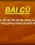 Các phương pháp lai