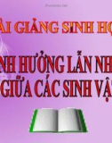 Bài giảng Sinh học 9 bài 44: Ảnh hưởng lẫn nhau giữa các sinh vật