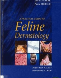 Ebook A practical guide to feline dermatology: Part 1