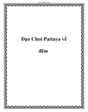 Dạo Chơi Pattaya về đêm