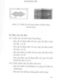 Luật bóng rổ part 10