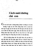 Ebook Cẩm nang nuôi và dạy chó: Phần 2