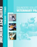 Ebook Saunders solutions in veterinary practice - Small animal, exotic pet medicine: Part 1